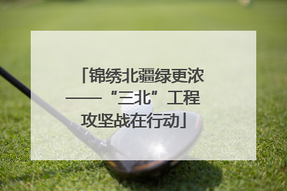 锦绣北疆绿更浓——“三北”工程攻坚战在行动
