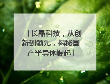 长晶科技，从创新到领先，揭秘国产半导体崛起