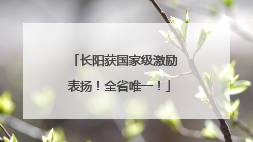 长阳获国家级激励表扬！全省唯一！