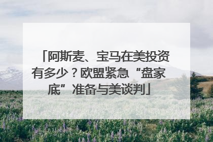 阿斯麦、宝马在美投资有多少？欧盟紧急“盘家底”准备与美谈判