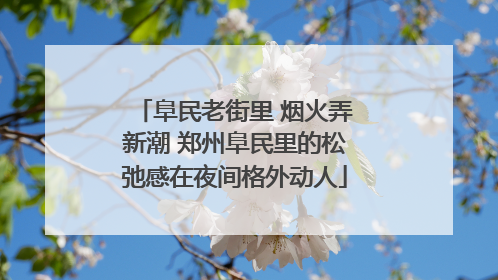 阜民老街里 烟火弄新潮 郑州阜民里的松弛感在夜间格外动人