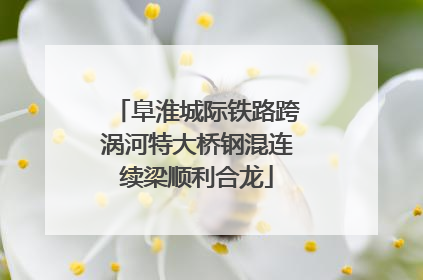 阜淮城际铁路跨涡河特大桥钢混连续梁顺利合龙