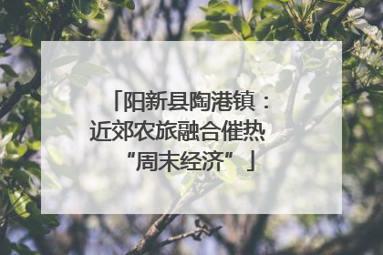 阳新县陶港镇：近郊农旅融合催热“周末经济”