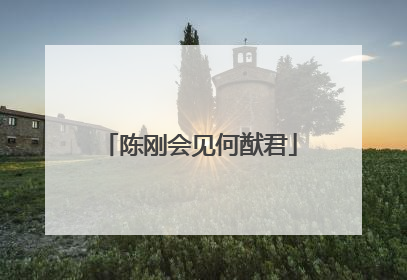 陈刚会见何猷君