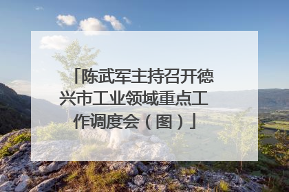 陈武军主持召开德兴市工业领域重点工作调度会（图）