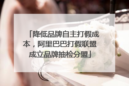 降低品牌自主打假成本，阿里巴巴打假联盟成立品牌抽检分盟