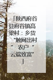 陕西府谷县府谷镇高梁村：乡货“触网出村” 农户“云端致富”