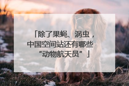 除了果蝇、涡虫，中国空间站还有哪些“动物航天员”