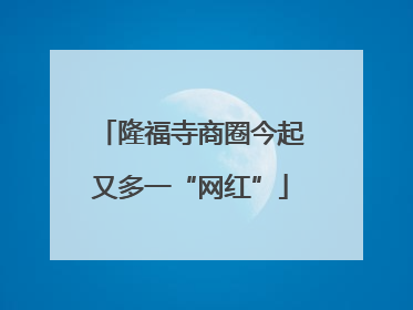 隆福寺商圈今起又多一“网红”