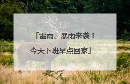 雷雨、暴雨来袭！今天下班早点回家