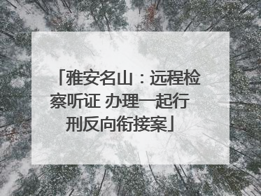 雅安名山：远程检察听证 办理一起行刑反向衔接案