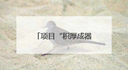 项目“积厚成器” 茂名县域经济释放新动能