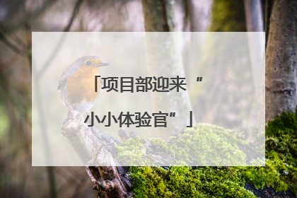 项目部迎来“小小体验官”