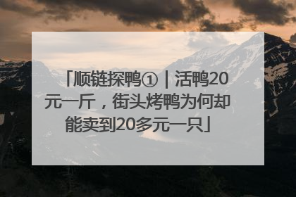 顺链探鸭①｜活鸭20元一斤，街头烤鸭为何却能卖到20多元一只