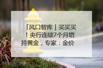 风口智库｜买买买！央行连续7个月增持黄金，专家：金价或仍易涨难跌