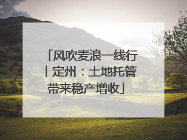 风吹麦浪一线行丨定州：土地托管带来稳产增收