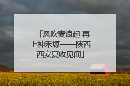风吹麦浪起 再上神禾塬——陕西西安夏收见闻