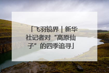 飞羽镜界｜新华社记者对“高原仙子”的四季追寻