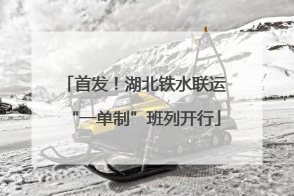首发！湖北铁水联运“一单制”班列开行