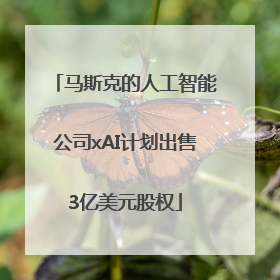 马斯克的人工智能公司xAI计划出售3亿美元股权