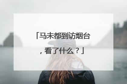 马未都到访烟台，看了什么？