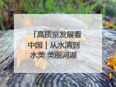 高质量发展看中国｜从水清到水美 美丽河湖扮靓美丽乡村