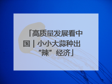 高质量发展看中国｜小小大蒜种出“辣”经济