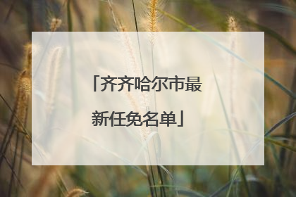 齐齐哈尔市最新任免名单
