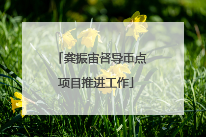 龚振宙督导重点项目推进工作
