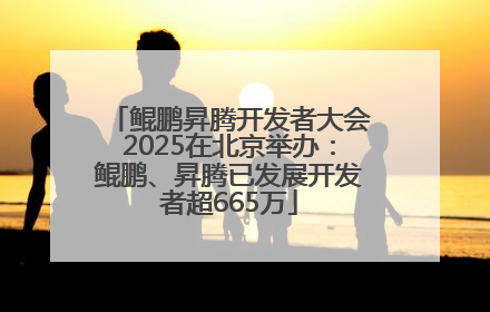 鲲鹏昇腾开发者大会2025在北京举办：鲲鹏、昇腾已发展开发者超665万