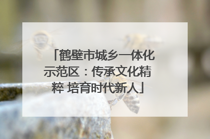 鹤壁市城乡一体化示范区：传承文化精粹 培育时代新人