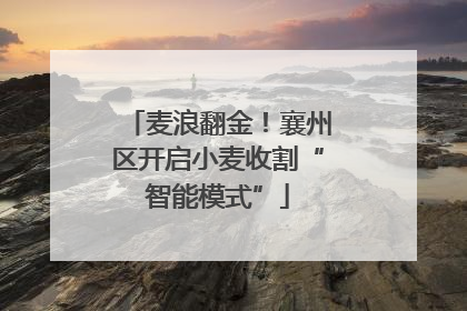 麦浪翻金！襄州区开启小麦收割“智能模式”