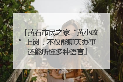 黄石市民之家“黄小政”上岗，不仅能聊天办事还能听懂多种语言