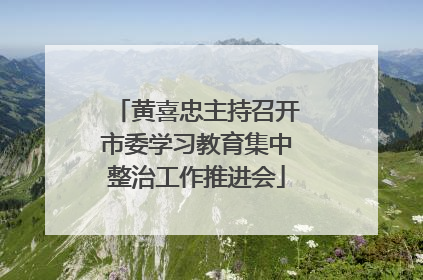 黄喜忠主持召开市委学习教育集中整治工作推进会