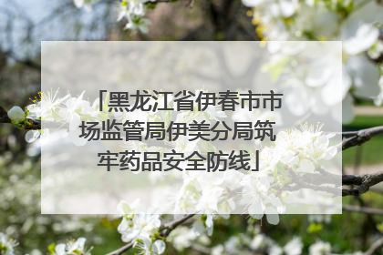 黑龙江省伊春市市场监管局伊美分局筑牢药品安全防线