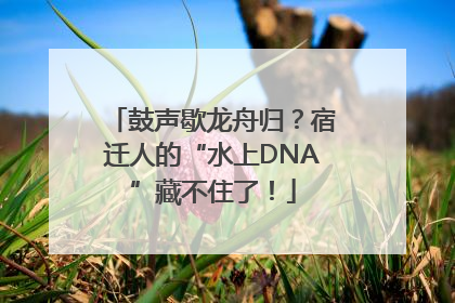 鼓声歇龙舟归？宿迁人的“水上DNA”藏不住了！