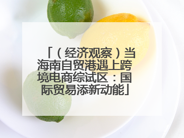（经济观察）当海南自贸港遇上跨境电商综试区：国际贸易添新动能