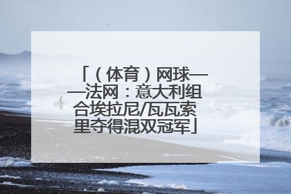 （体育）网球——法网：意大利组合埃拉尼/瓦瓦索里夺得混双冠军