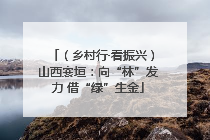 （乡村行·看振兴）山西襄垣：向“林”发力 借“绿”生金