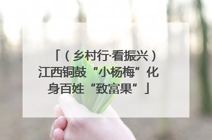 （乡村行·看振兴）江西铜鼓“小杨梅”化身百姓“致富果”