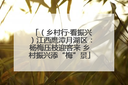 （乡村行·看振兴）江西鹰潭月湖区：杨梅压枝迎客来 乡村振兴添“梅”景