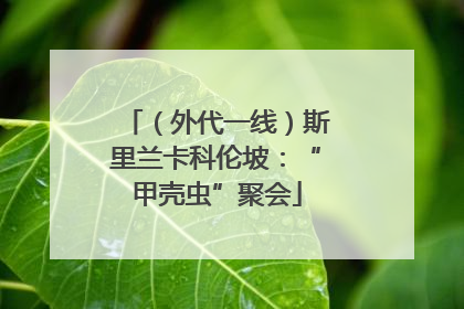（外代一线）斯里兰卡科伦坡：“甲壳虫”聚会