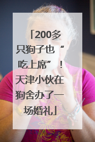 200多只狗子也“吃上席”！天津小伙在狗舍办了一场婚礼