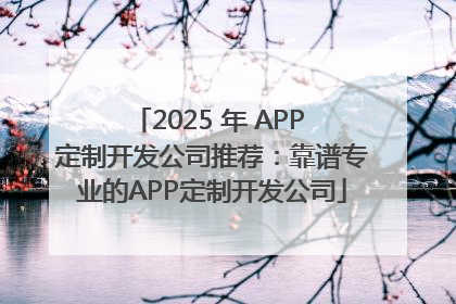 2025 年 APP 定制开发公司推荐：靠谱专业的APP定制开发公司