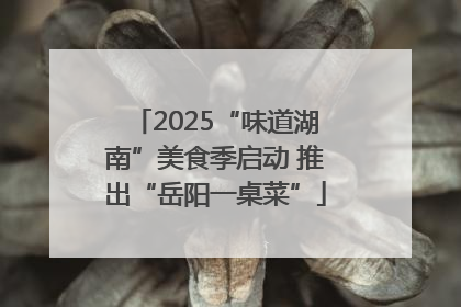 2025“味道湖南”美食季启动 推出“岳阳一桌菜”