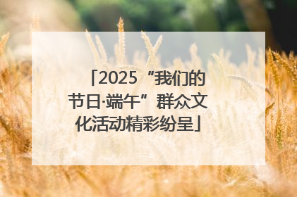 2025“我们的节日·端午”群众文化活动精彩纷呈