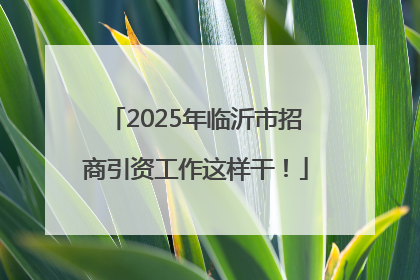 2025年临沂市招商引资工作这样干！