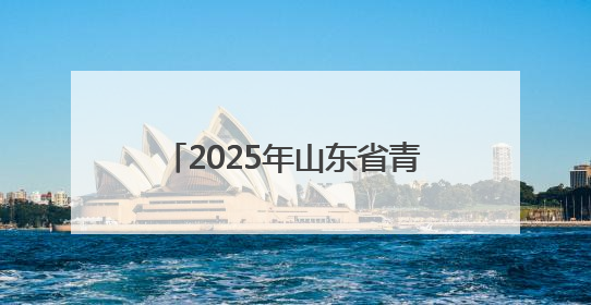 2025年山东省青少年成语经典故事会聊城选拔赛开始报名