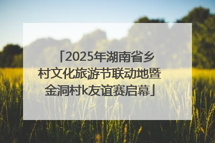 2025年湖南省乡村文化旅游节联动地暨金洞村k友谊赛启幕