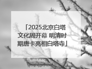 2025北京白塔文化周开幕 明清时期唐卡亮相白塔寺